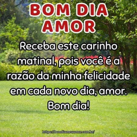 Receba este carinho matinal, pois você é a razão da minha felicidade em cada novo dia, amor. Bom dia! Receba este carinho matinal, pois você é a razão da minha felicidade em cada novo dia, amor. Bom dia!