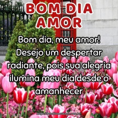 Bom dia, meu amor! Desejo um despertar radiante, pois sua alegria ilumina meu dia desde o amanhecer. Bom dia, meu amor! Desejo um despertar radiante, pois sua alegria ilumina meu dia desde o amanhecer.
