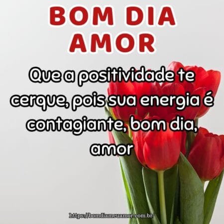 Que a positividade te cerque, pois sua energia é contagiante, bom dia, amor. Que a positividade te cerque, pois sua energia é contagiante, bom dia, amor.