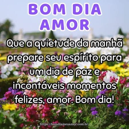 Que a quietude da manhã prepare seu espírito para um dia de paz e incontáveis momentos felizes, amor. Bom dia! Que a quietude da manhã prepare seu espírito para um dia de paz e incontáveis momentos felizes, amor. Bom dia!