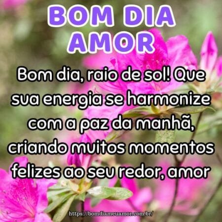 Bom dia, raio de sol! Que sua energia se harmonize com a paz da manhã, criando muitos momentos felizes ao seu redor, amor. Bom dia, raio de sol! Que sua energia se harmonize com a paz da manhã, criando muitos momentos felizes ao seu redor, amor.