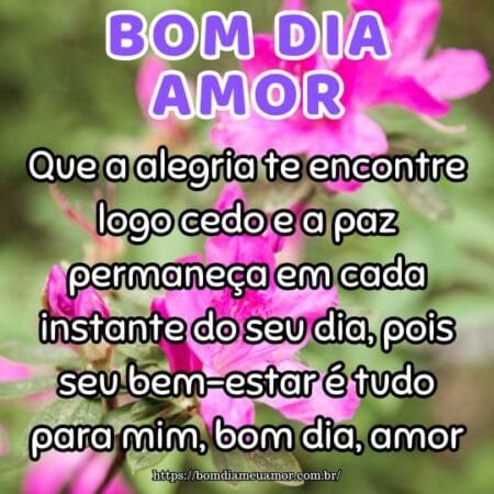 Que a alegria te encontre logo cedo e a paz permaneça em cada instante do seu dia, pois seu bem-estar é tudo para mim, bom dia, amor. Que a alegria te encontre logo cedo e a paz permaneça em cada instante do seu dia, pois seu bem-estar é tudo para mim, bom dia, amor.