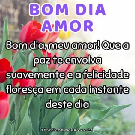 Bom dia, meu amor! Que a paz te envolva suavemente e a felicidade floresça em cada instante deste dia. Bom dia, meu amor! Que a paz te envolva suavemente e a felicidade floresça em cada instante deste dia.