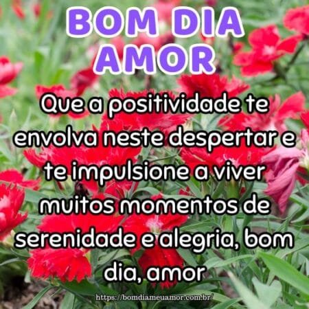 Que a positividade te envolva neste despertar e te impulsione a viver muitos momentos de serenidade e alegria, bom dia, amor. Que a positividade te envolva neste despertar e te impulsione a viver muitos momentos de serenidade e alegria, bom dia, amor.