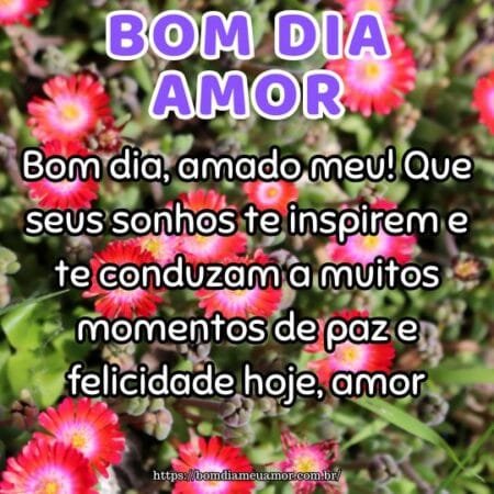 Bom dia, amado meu! Que seus sonhos te inspirem e te conduzam a muitos momentos de paz e felicidade hoje, amor Bom dia, amado meu! Que seus sonhos te inspirem e te conduzam a muitos momentos de paz e felicidade hoje, amor