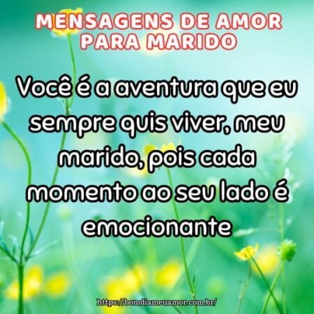 Você é a aventura que eu sempre quis viver, meu marido, pois cada momento ao seu lado é emocionante. Você é a aventura que eu sempre quis viver, meu marido, pois cada momento ao seu lado é emocionante.