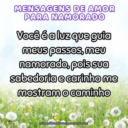Você é a luz que guia meus passos, meu namorado, pois sua sabedoria e carinho me mostram o caminho.
