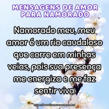 Namorado meu, meu amor é um rio caudaloso que corre em minhas veias, pois sua presença me energiza e me faz sentir viva.