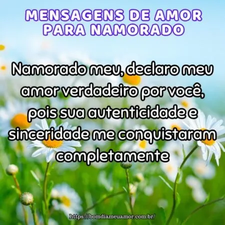 Namorado meu, declaro meu amor verdadeiro por você, pois sua autenticidade e sinceridade me conquistaram completamente.