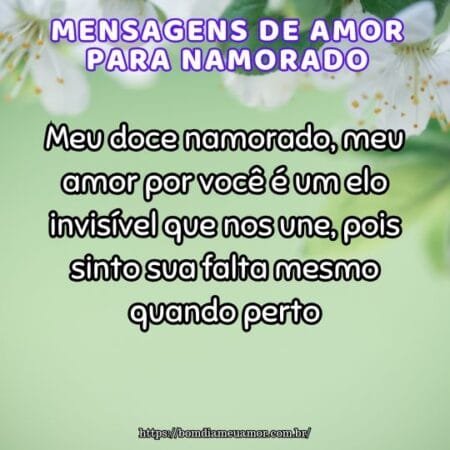Meu doce namorado, meu amor por você é um elo invisível que nos une, pois sinto sua falta mesmo quando perto. Meu doce namorado, meu amor por você é um elo invisível que nos une, pois sinto sua falta mesmo quando perto.