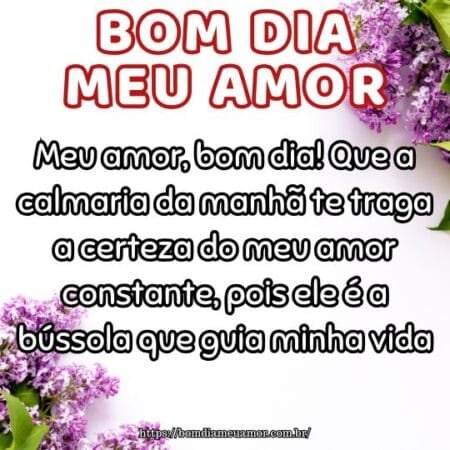 Meu amor, bom dia! Que a calmaria da manhã te traga a certeza do meu amor constante, pois ele é a bússola que guia minha vida. Meu amor, bom dia! Que a calmaria da manhã te traga a certeza do meu amor constante, pois ele é a bússola que guia minha vida.