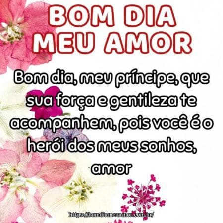 Bom dia, meu príncipe, que sua força e gentileza te acompanhem, pois você é o herói dos meus sonhos, amor. Bom dia, meu príncipe, que sua força e gentileza te acompanhem, pois você é o herói dos meus sonhos, amor.