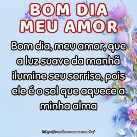 Bom dia, meu amor, que a luz suave da manhã ilumine seu sorriso, pois ele é o sol que aquece a minha alma. Bom dia, meu amor, que a luz suave da manhã ilumine seu sorriso, pois ele é o sol que aquece a minha alma.