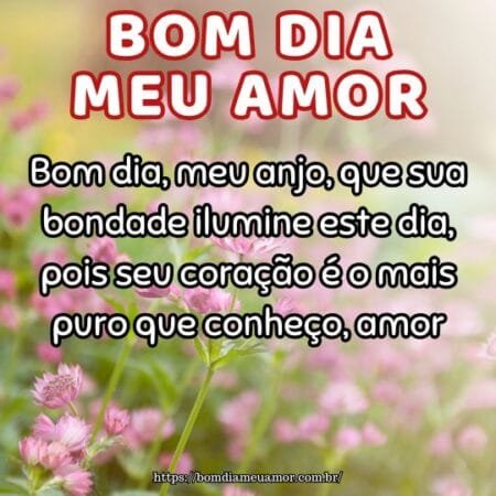 Bom dia, meu anjo, que sua bondade ilumine este dia, pois seu coração é o mais puro que conheço, amor. Bom dia, meu anjo, que sua bondade ilumine este dia, pois seu coração é o mais puro que conheço, amor.