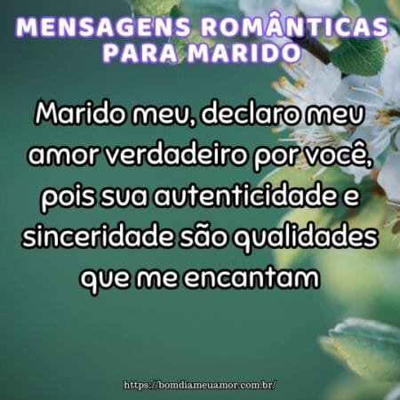 Marido meu, declaro meu amor verdadeiro por você, pois sua autenticidade e sinceridade são qualidades que me encantam. Marido meu, declaro meu amor verdadeiro por você, pois sua autenticidade e sinceridade são qualidades que me encantam.
