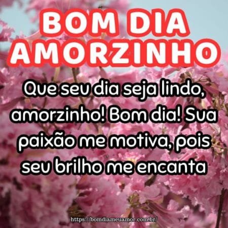 Que seu dia seja lindo, amorzinho! Bom dia! Sua paixão me motiva, pois seu brilho me encanta. Que seu dia seja lindo, amorzinho! Bom dia! Sua paixão me motiva, pois seu brilho me encanta.