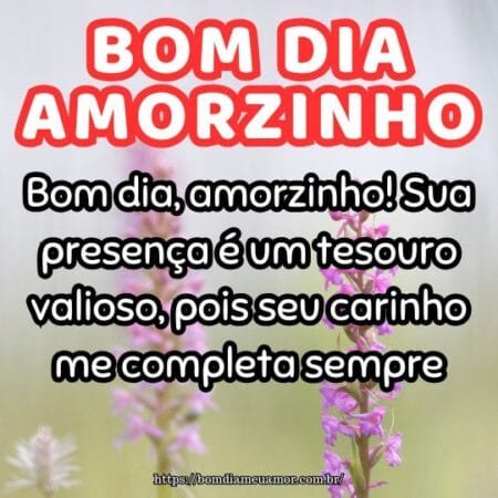 Bom dia, amorzinho! Sua presença é um tesouro valioso, pois seu carinho me completa sempre. Bom dia, amorzinho! Sua presença é um tesouro valioso, pois seu carinho me completa sempre.