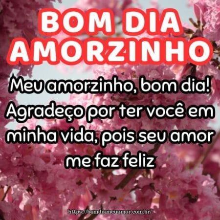 Meu amorzinho, bom dia! Agradeço por ter você em minha vida, pois seu amor me faz feliz. Meu amorzinho, bom dia! Agradeço por ter você em minha vida, pois seu amor me faz feliz.