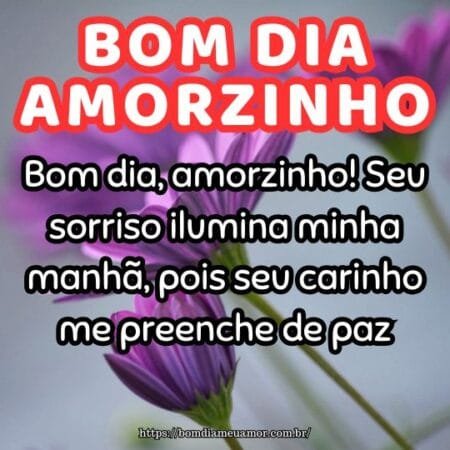 Bom dia, amorzinho! Seu sorriso ilumina minha manhã, pois seu carinho me preenche de paz. Bom dia, amorzinho! Seu sorriso ilumina minha manhã, pois seu carinho me preenche de paz.