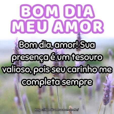 Bom dia, amor! Sua presença é um tesouro valioso, pois seu carinho me completa sempre. Bom dia, amor! Sua presença é um tesouro valioso, pois seu carinho me completa sempre.