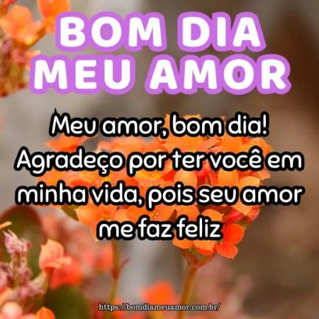 Meu amor, bom dia! Agradeço por ter você em minha vida, pois seu amor me faz feliz. Meu amor, bom dia! Agradeço por ter você em minha vida, pois seu amor me faz feliz.