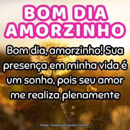 Bom dia, amorzinho! Sua presença em minha vida é um sonho, pois seu amor me realiza plenamente. Bom dia, amorzinho! Sua presença em minha vida é um sonho, pois seu amor me realiza plenamente.