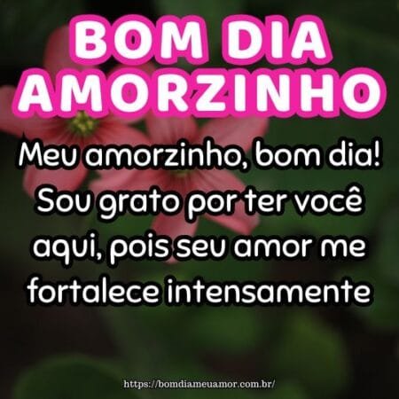 Meu amorzinho, bom dia! Sou grato por ter você aqui, pois seu amor me fortalece intensamente. Meu amorzinho, bom dia! Sou grato por ter você aqui, pois seu amor me fortalece intensamente.