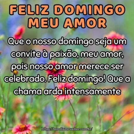 Que o nosso domingo seja um convite à paixão, meu amor, pois nosso amor merece ser celebrado. Feliz domingo! Que a chama arda intensamente. Que o nosso domingo seja um convite à paixão, meu amor, pois nosso amor merece ser celebrado. Feliz domingo! Que a chama arda intensamente.
