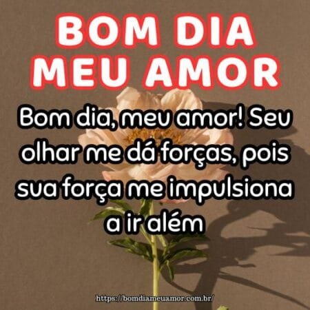 Bom dia, meu amor! Seu olhar me dá forças, pois sua força me impulsiona a ir além. Bom dia, meu amor! Seu olhar me dá forças, pois sua força me impulsiona a ir além.