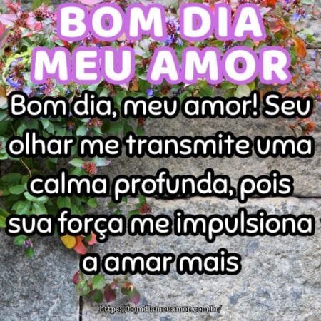 Bom dia, meu amor! Seu olhar me transmite uma calma profunda, pois sua força me impulsiona a amar mais. Bom dia, meu amor! Seu olhar me transmite uma calma profunda, pois sua força me impulsiona a amar mais.
