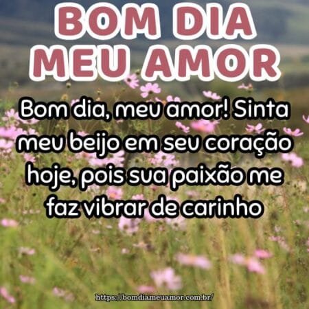 Bom dia, meu amor! Sinta meu beijo em seu coração hoje, pois sua paixão me faz vibrar de carinho. Bom dia, meu amor! Sinta meu beijo em seu coração hoje, pois sua paixão me faz vibrar de carinho.