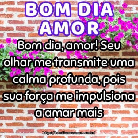 Bom dia, amor! Seu olhar me transmite uma calma profunda, pois sua força me impulsiona a amar mais. Bom dia, amor! Seu olhar me transmite uma calma profunda, pois sua força me impulsiona a amar mais.