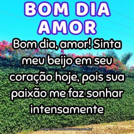 Bom dia, amor! Sinta meu beijo em seu coração hoje, pois sua paixão me faz sonhar intensamente. Bom dia, amor! Sinta meu beijo em seu coração hoje, pois sua paixão me faz sonhar intensamente.