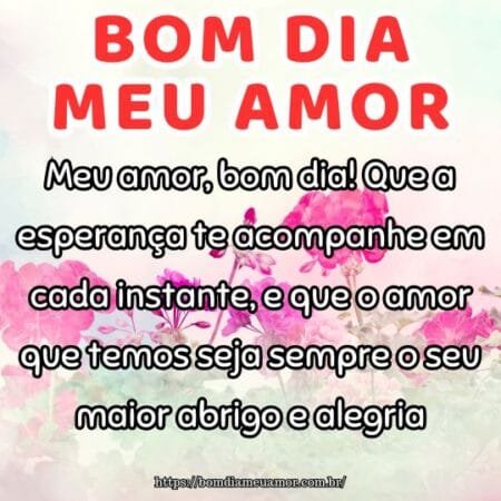 Meu amor, bom dia! Que a esperança te acompanhe em cada instante, e que o amor que temos seja sempre o seu maior abrigo e alegria. Meu amor, bom dia! Que a esperança te acompanhe em cada instante, e que o amor que temos seja sempre o seu maior abrigo e alegria.