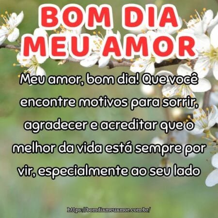 Meu amor, bom dia! Que você encontre motivos para sorrir, agradecer e acreditar que o melhor da vida está sempre por vir, especialmente ao seu lado. Meu amor, bom dia! Que você encontre motivos para sorrir, agradecer e acreditar que o melhor da vida está sempre por vir, especialmente ao seu lado.