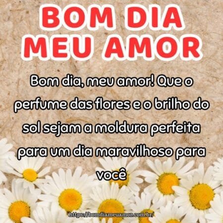 Bom dia, meu amor! Que o perfume das flores e o brilho do sol sejam a moldura perfeita para um dia maravilhoso para você. Bom dia, meu amor! Que o perfume das flores e o brilho do sol sejam a moldura perfeita para um dia maravilhoso para você.