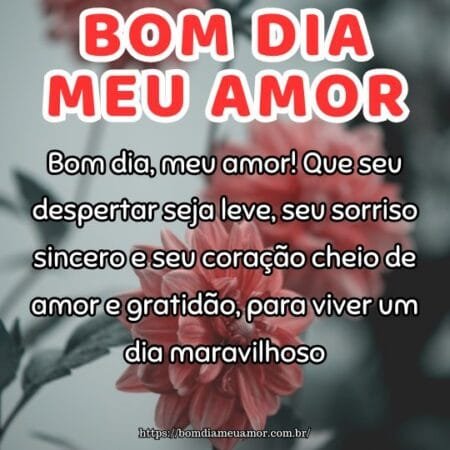 Bom dia, meu amor! Que seu despertar seja leve, seu sorriso sincero e seu coração cheio de amor e gratidão, para viver um dia maravilhoso. Bom dia, meu amor! Que seu despertar seja leve, seu sorriso sincero e seu coração cheio de amor e gratidão, para viver um dia maravilhoso.