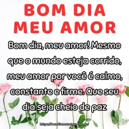 Bom dia, meu amor! Mesmo que o mundo esteja corrido, meu amor por você é calmo, constante e firme. Que seu dia seja cheio de paz. Bom dia, meu amor! Mesmo que o mundo esteja corrido, meu amor por você é calmo, constante e firme. Que seu dia seja cheio de paz.