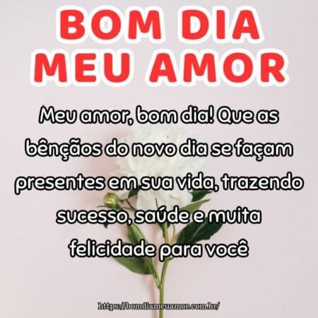 Meu amor, bom dia! Que as bênçãos do novo dia se façam presentes em sua vida, trazendo sucesso, saúde e muita felicidade para você. Meu amor, bom dia! Que as bênçãos do novo dia se façam presentes em sua vida, trazendo sucesso, saúde e muita felicidade para você.