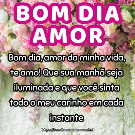 Bom dia, amor da minha vida, te amo! Que sua manhã seja iluminada e que você sinta todo o meu carinho em cada instante. Bom dia, amor da minha vida, te amo! Que sua manhã seja iluminada e que você sinta todo o meu carinho em cada instante.