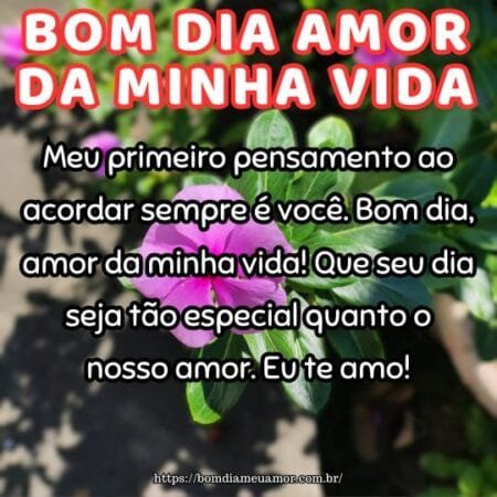 Meu primeiro pensamento ao acordar sempre é você. Bom dia, amor da minha vida! Que seu dia seja tão especial quanto o nosso amor. Eu te amo! Meu primeiro pensamento ao acordar sempre é você. Bom dia, amor da minha vida! Que seu dia seja tão especial quanto o nosso amor. Eu te amo!