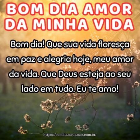 Bom dia! Que sua vida floresça em paz e alegria hoje, meu amor da vida. Que Deus esteja ao seu lado em tudo. Eu te amo! Bom dia! Que sua vida floresça em paz e alegria hoje, meu amor da vida. Que Deus esteja ao seu lado em tudo. Eu te amo!