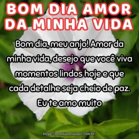 Bom dia, meu anjo! Amor da minha vida, desejo que você viva momentos lindos hoje e que cada detalhe seja cheio de paz. Eu te amo muito. Bom dia, meu anjo! Amor da minha vida, desejo que você viva momentos lindos hoje e que cada detalhe seja cheio de paz. Eu te amo muito.