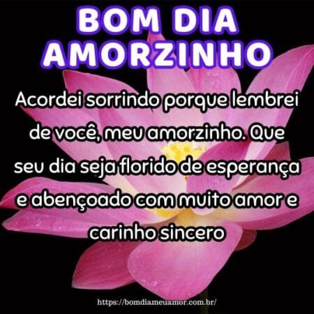 Acordei sorrindo porque lembrei de você, meu amorzinho. Que seu dia seja florido de esperança e abençoado com muito amor e carinho sincero. Acordei sorrindo porque lembrei de você, meu amorzinho. Que seu dia seja florido de esperança e abençoado com muito amor e carinho sincero.