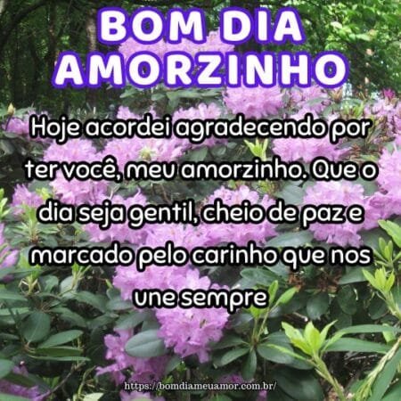 Hoje acordei agradecendo por ter você, meu amorzinho. Que o dia seja gentil, cheio de paz e marcado pelo carinho que nos une sempre. Hoje acordei agradecendo por ter você, meu amorzinho. Que o dia seja gentil, cheio de paz e marcado pelo carinho que nos une sempre.