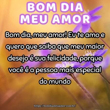 Bom dia, meu amor! Eu te amo e quero que saiba que meu maior desejo é sua felicidade, porque você é a pessoa mais especial do mundo. Bom dia, meu amor! Eu te amo e quero que saiba que meu maior desejo é sua felicidade, porque você é a pessoa mais especial do mundo.