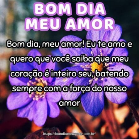 Bom dia, meu amor! Eu te amo e quero que você saiba que meu coração é inteiro seu, batendo sempre com a força do nosso amor. Bom dia, meu amor! Eu te amo e quero que você saiba que meu coração é inteiro seu, batendo sempre com a força do nosso amor.