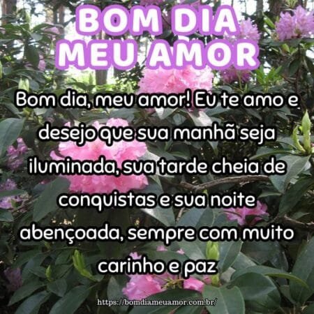 Bom dia, meu amor! Eu te amo e desejo que sua manhã seja iluminada, sua tarde cheia de conquistas e sua noite abençoada, sempre com muito carinho e paz. Bom dia, meu amor! Eu te amo e desejo que sua manhã seja iluminada, sua tarde cheia de conquistas e sua noite abençoada, sempre com muito carinho e paz.